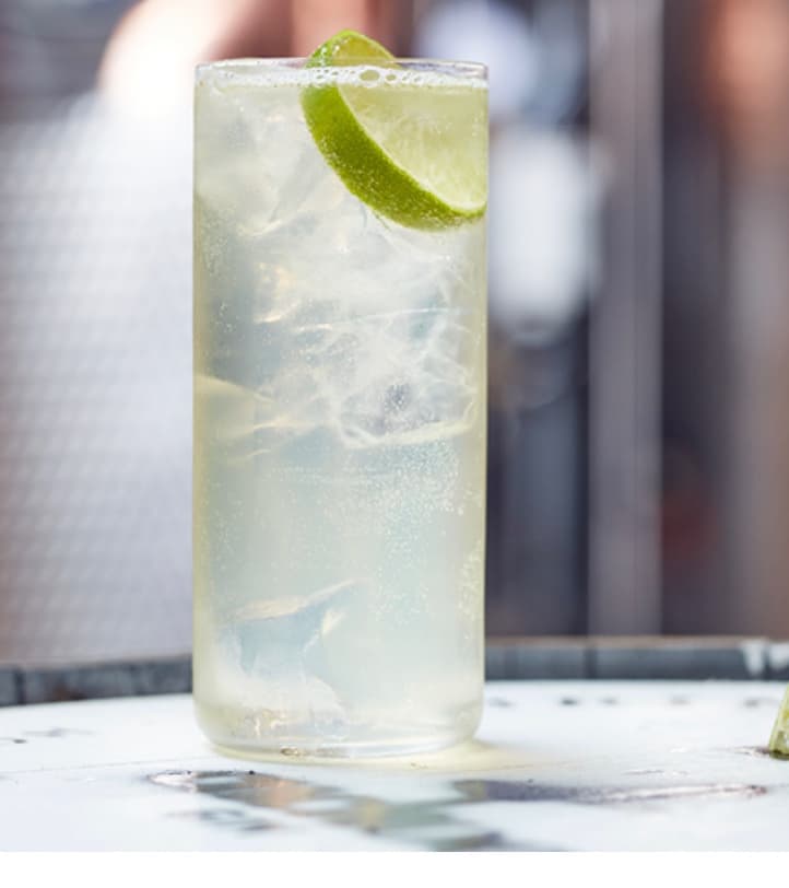 GIN FIZZ